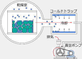 凍結乾燥 乾燥工程 真空排気